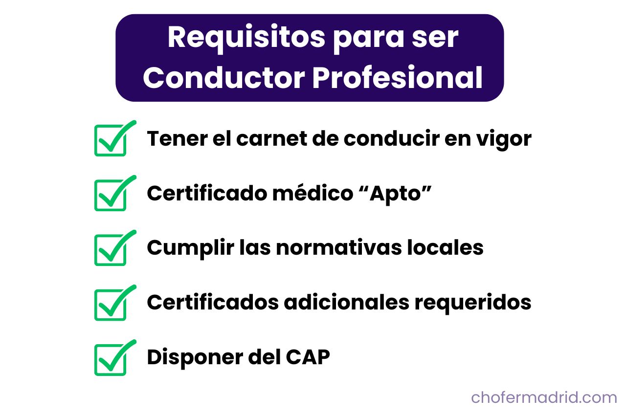 requisitos-conductor-profesional